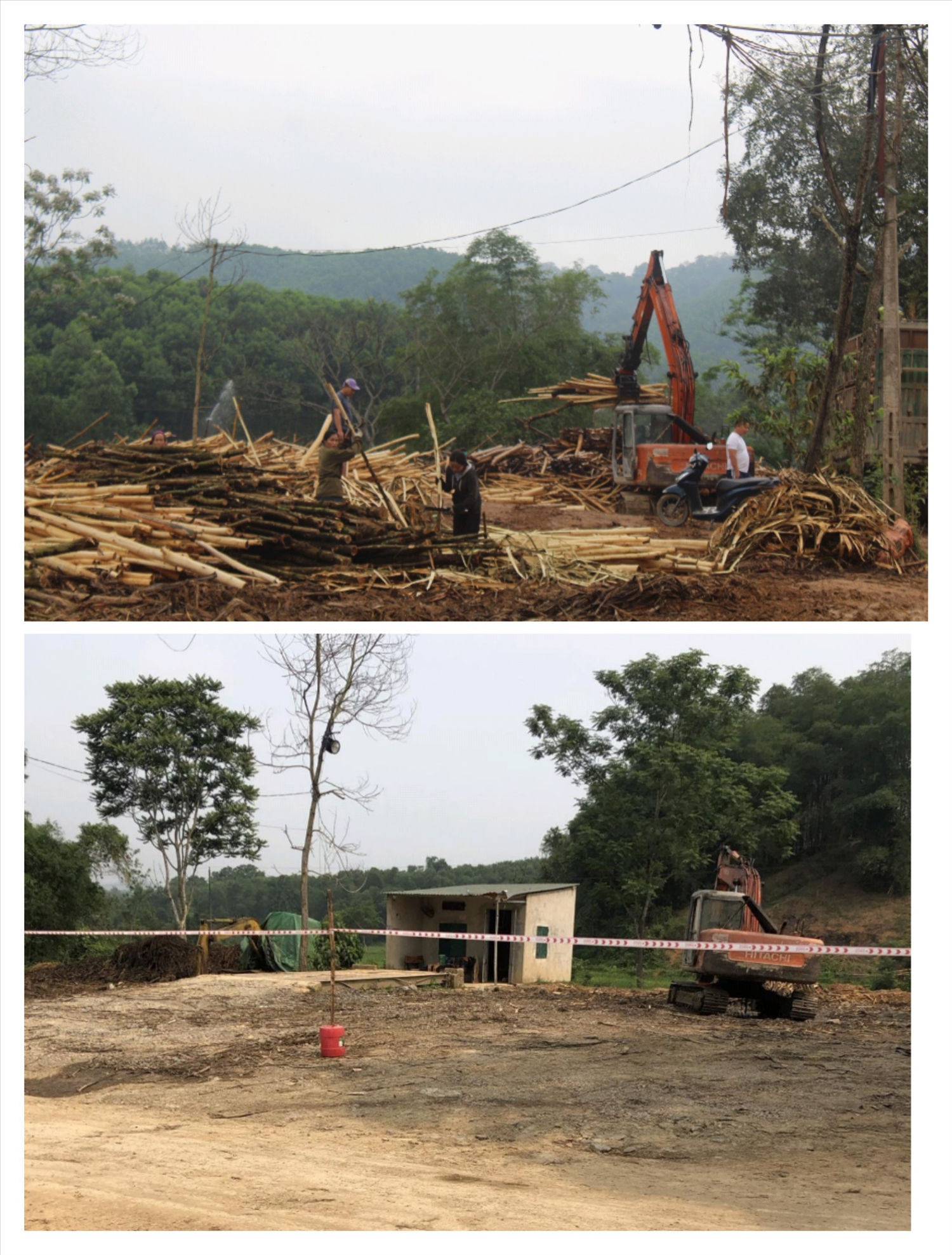 Cơ sở thu mua keo thôn Tú, xã Xuân Thắng trước và sau khi bị yêu cầu dừng hoạt thu mua keo để hoàn thiện các thủ tục pháp lý theo quy định. 