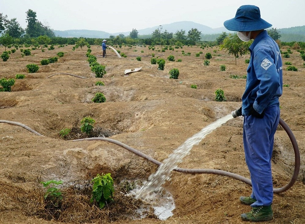 Những ngày này, nông dân đang tất bật đặt máy bơm, kéo đường ống tưới nước chống hạn cho cây trồng trên những rẫy cây công nghiệp.