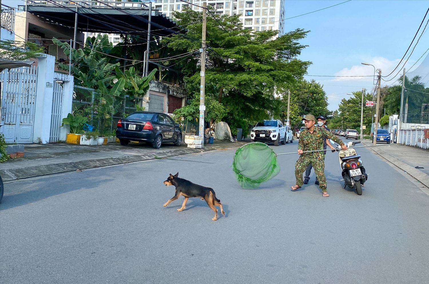 Nhiều địa phương đã triển khai các đội bắt chó thả rông để đảm bảo an toàn cho mọi người. Nhiều địa phương đã triển khai các đội bắt chó thả rông để đảm bảo an toàn cho mọi người.