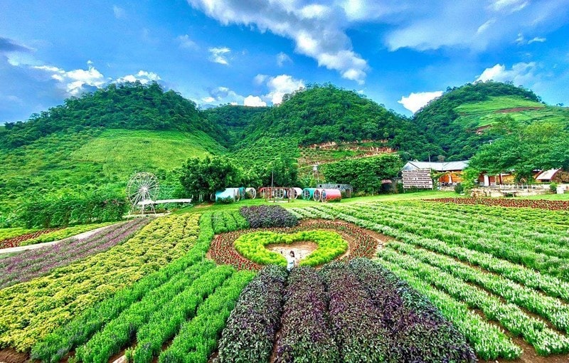 (Tổng hợp) Công nhận Mộc Châu là Khu du lịch quốc gia 1