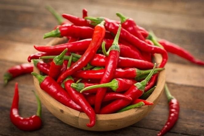 (Tổng hợp) Cách trồng ớt chỉ thiên cho năng suất cao 5