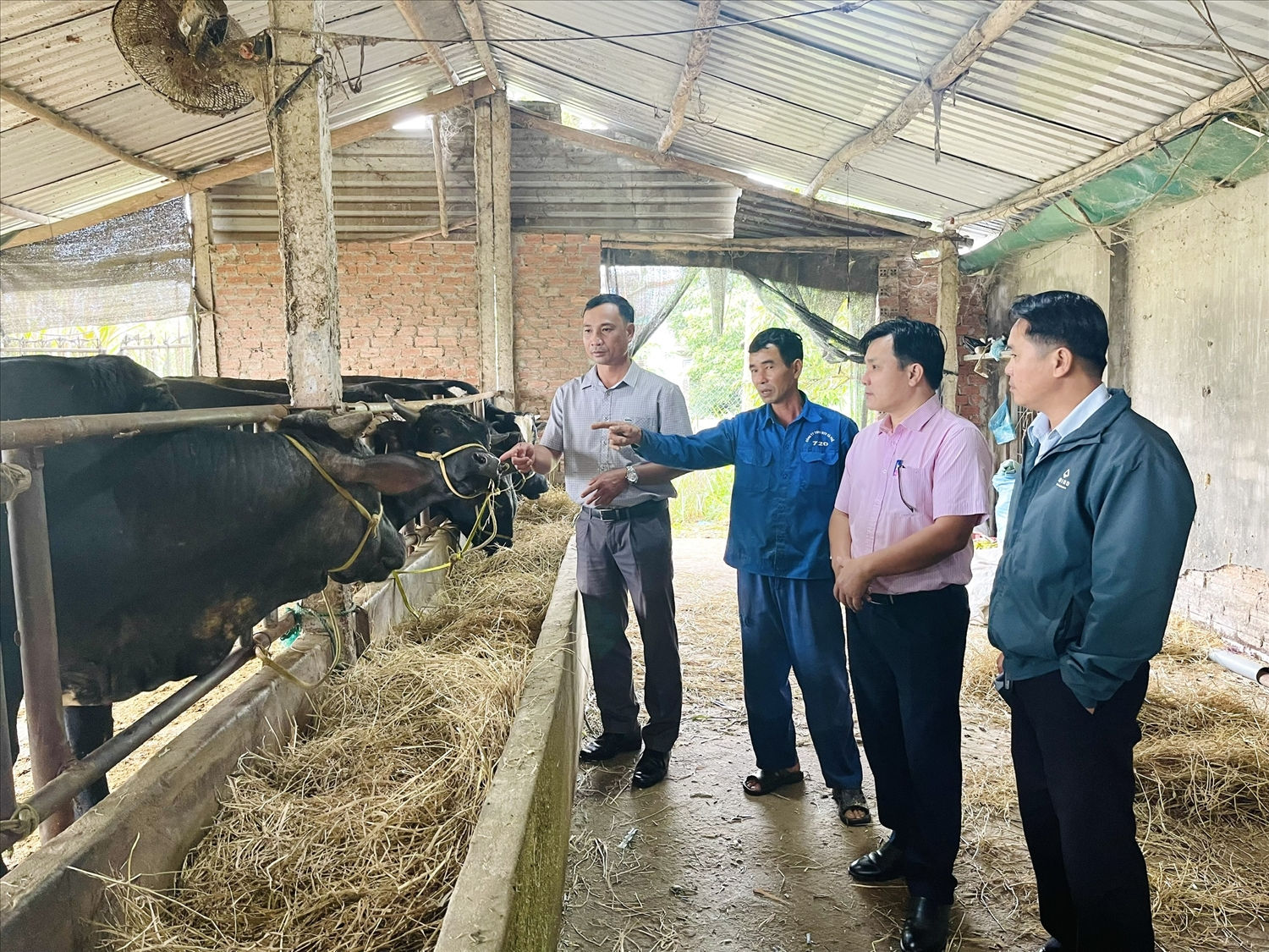 Nguồn vốn tín dụng chính sách đã tạo cơ hội cho đồng bào DTTS, hộ nghèo tại các xã trên địa bàn tỉnh Đắk Lắk có cơ hội vươn lên thoát nghèo, cải thiện cuộc sống.