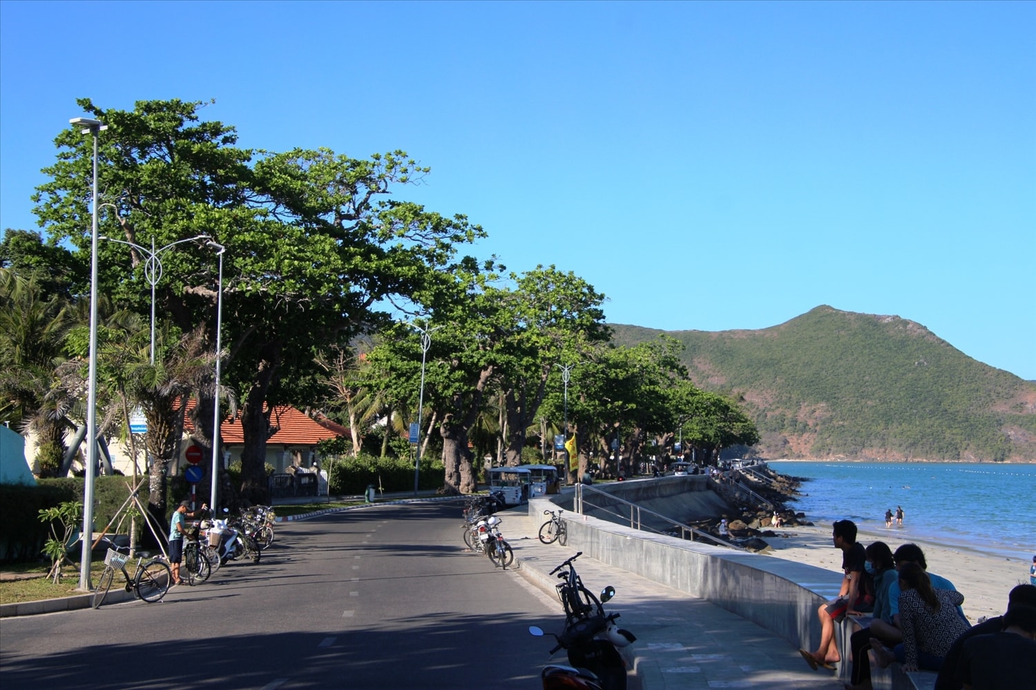 Hàng cây bàng có tuổi hàng trăm năm nghiêng mình xuống biển.