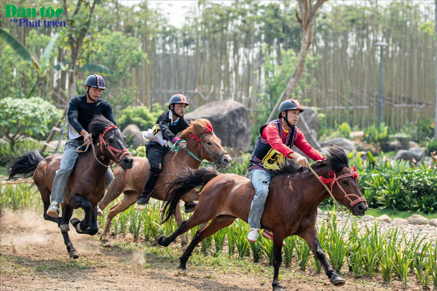 Có thể thấy, đây chính là cơ hội để Mường Lò, Nghĩa Lộ, Yên Bái đem những đặc trưng văn hóa đến gần hơn với công chúng, từng bước xây dựng những viên gạch đầu tiên cho hành trình du lịch xanh, phát triển kinh tế bền vững tại khu du lịch này. Giải đua ngựa Tây Bắc tại Shanrila Mường Lò cũng khích lệ tinh thần bà con Nghĩa Lộ để đưa ngựa trở lại đường đua, và cùng tham gia tranh tài trong mùa đua vào những năm tiếp theo.