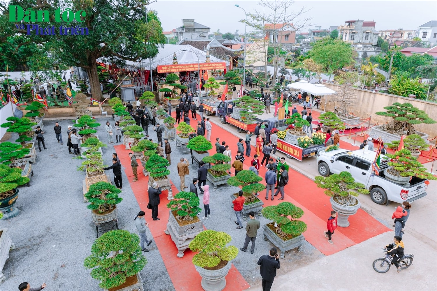 Làng hoa cây cảnh Vị Khê nằm cách Tp. Nam Định 5km. Theo các tư liệu lịch sử được địa phương lưu giữ, năm Tân Mùi (năm 1211), đời vua Lý Huệ Tông, quan Thái Úy Phụ Chính là Tô Trung Tự đã về đây dạy nhân dân địa phương nghề trồng hoa và cây cảnh để làm kế sinh nhai lâu dài. Từ đó, nghề trồng hoa, cây cảnh của người dân Vị Khê đã bắt đầu hình thành và phát triển cho tới ngày nay, với gần 700 hộ làm nghề. 