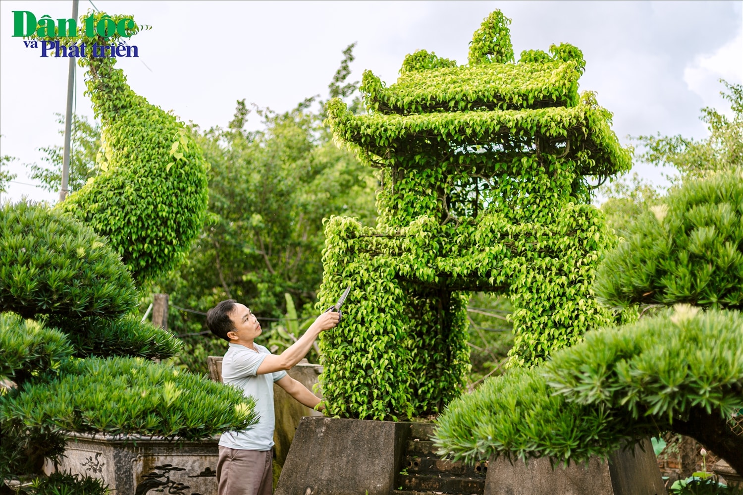 Ông Nguyễn Thanh Vân (50 tuổi) chủ nhân của những tác phẩm cây cảnh mô phỏng Khuê Văn Các, Chùa Một Cột… bày tỏ: Chơi cây là dưỡng trí, chơi đá là dưỡng tâm, chơi gỗ là dưỡng thần. Những điều anh Vân tâm sự đã trở thành một nét đẹp văn hóa truyền thống của mảnh đất này. Bởi vậy mà người xưa cũng từng đúc kết: Nhất chữ, nhị tranh, tam sành, tứ kiểng.