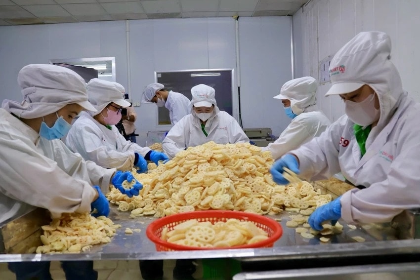 Sen cũng là một trong các ngành hàng chủ lực của Đồng Tháp