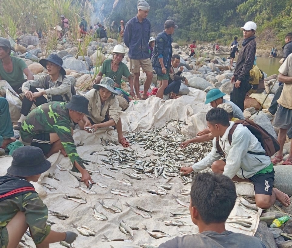 Số cá bắt được sẽ chia đều cho các hộ trong thôn Số cá bắt được sẽ chia đều cho các hộ trong thôn