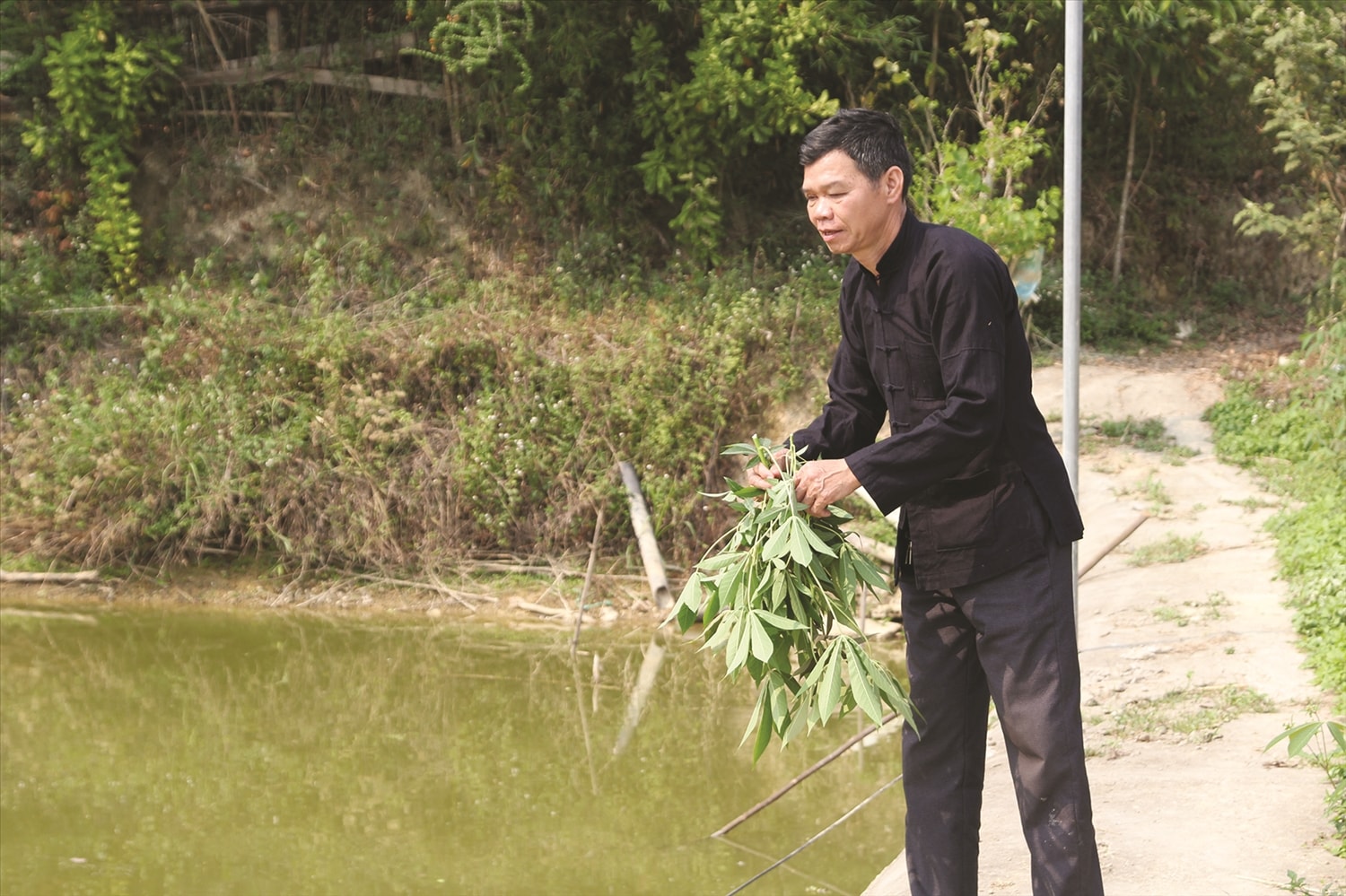 Ông Vàng Văn Suồn là tấm gương trong phát triển kinh tế tại bản Ngà