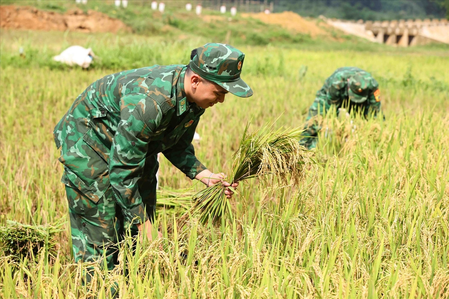 Chắc tay súng, vững tay cày, không chỉ bảo vệ an ninh biên giới, BĐBP còn góp phần xây dựng vùng biên giới ngày càng giàu đẹp