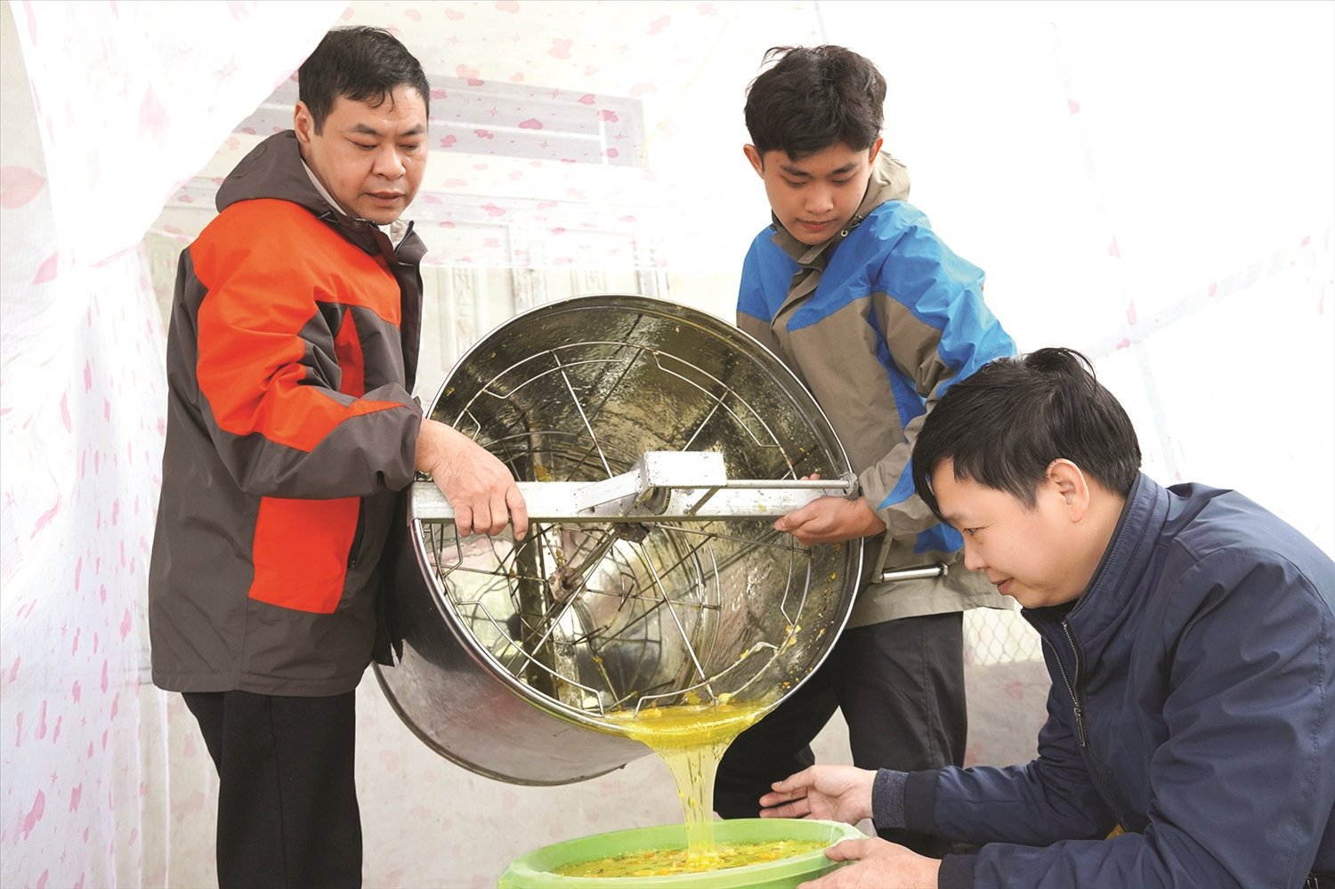 Người dân thực hiện quay mật ong bạc hà