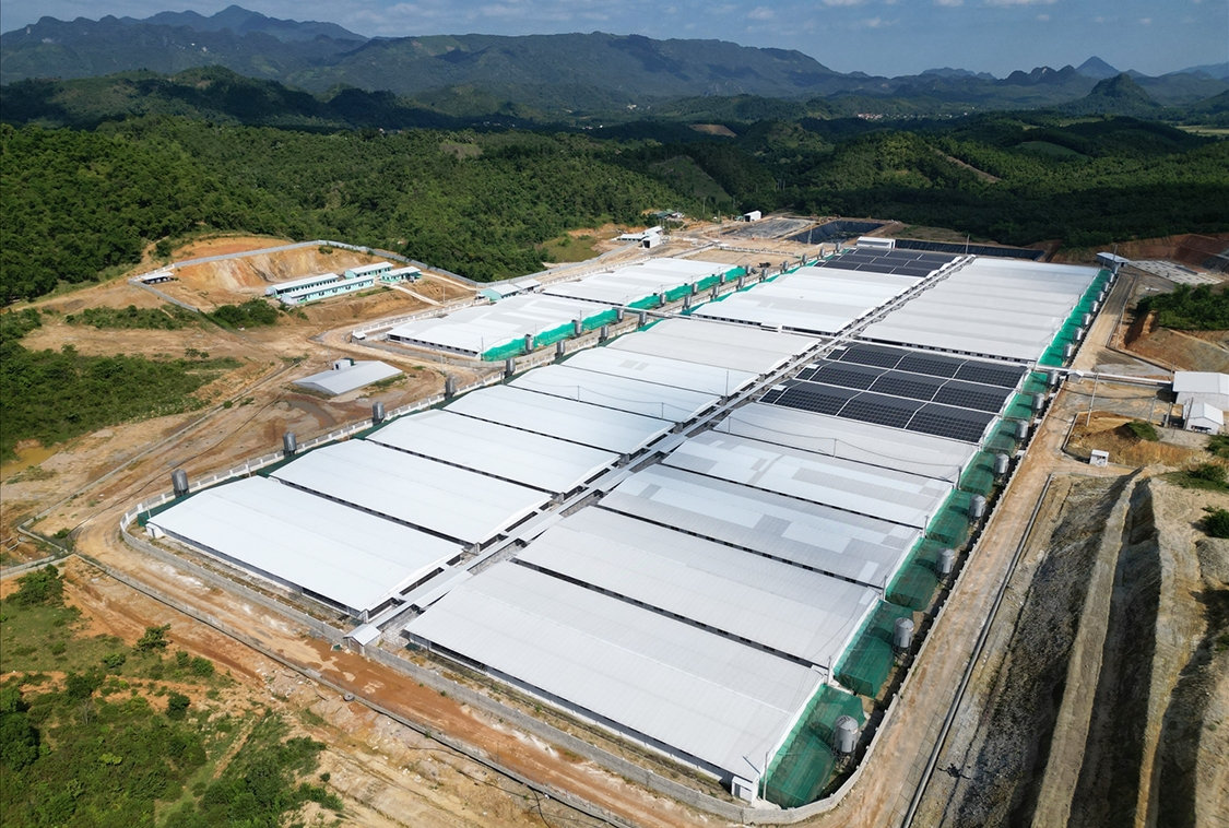 Kết quả kiểm tra trang trại nuôi lợn công nghệ cao gây ô nhiễm môi trường là đúng thực tế