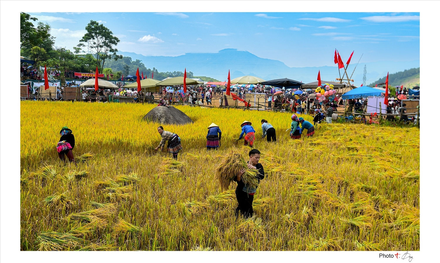 Ngày mùa ở Tả Lèng. Ảnh Dũng Bùi Ngày mùa ở Tả Lèng. Ảnh Dũng Bùi