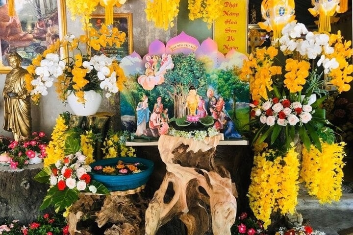 Ảnh minh họa