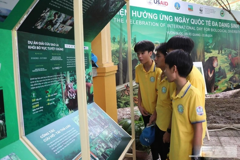 Các em học sinh tìm hiểu về đa dạng sinh học tại Vườn Quốc gia Vũ Quang. Các em học sinh tìm hiểu về đa dạng sinh học tại Vườn Quốc gia Vũ Quang.