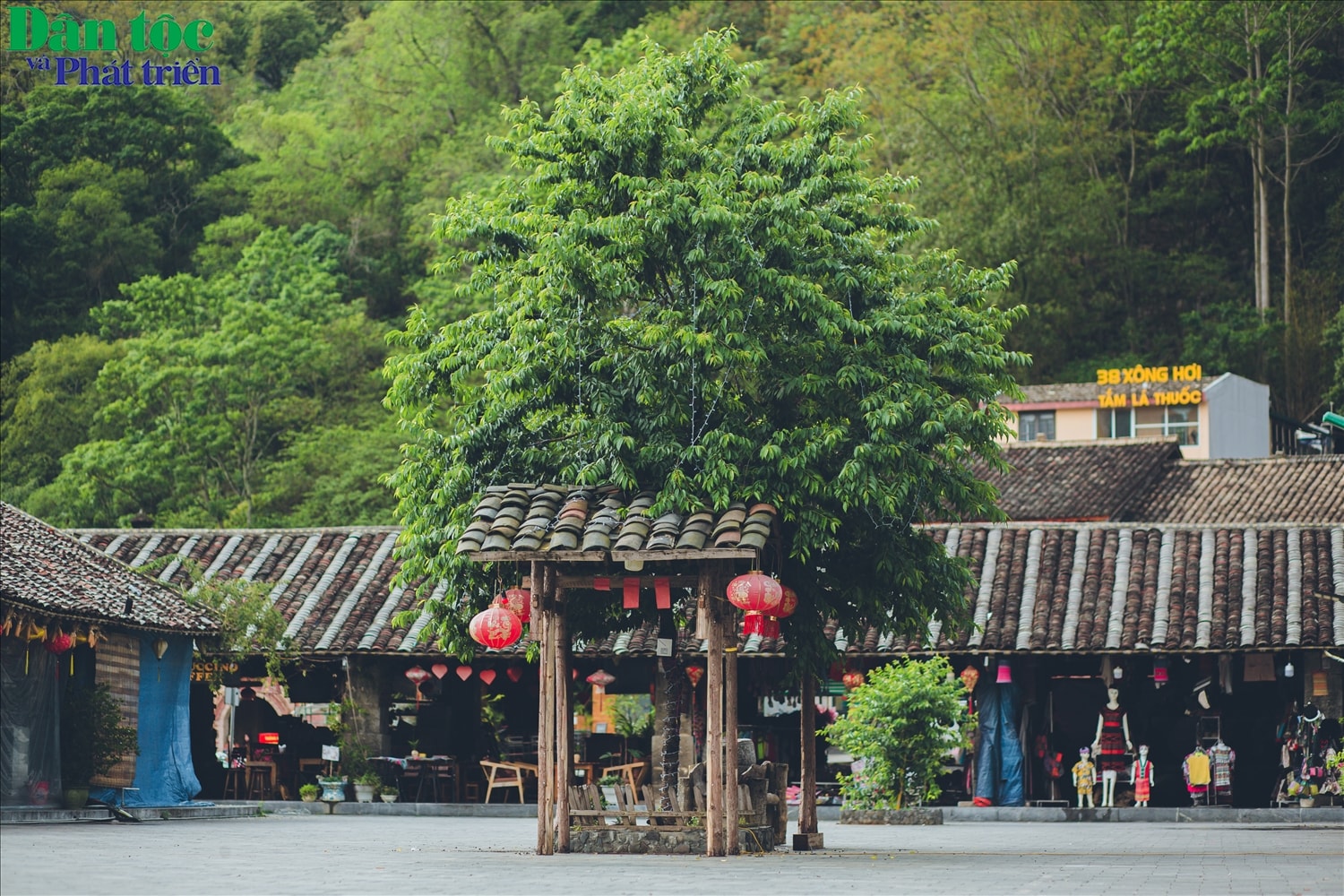 Vào lúc sáng sớm tinh mơ khi mặt trời vừa lên, cả khu phố sẽ tràn ngập trong sắc vàng óng ả của nắng. Nếu đến đây vào lúc sáng sớm bạn sẽ cảm nhận rất rõ nét vẻ đẹp yên bình và không khí trong lành của nơi đây. Khi ánh hoàng hồn dần buông xuống thì cũng là lúc cả khu phố lại đắm chìm trong những tia nắng mơ màng cuối cùng còn sót lại trong ngày.