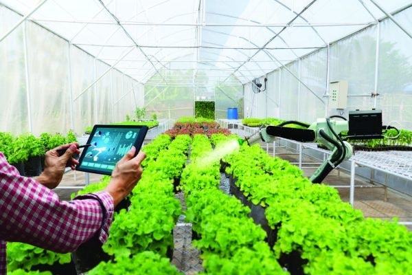Ứng dụng công nghệ cao trong nông nghiệp nhằm tăng hiệu quả sản xuất, năng suất, sản lượng cây trồng, vật nuôi. (Ảnh: Trần Anh). Ứng dụng công nghệ cao trong nông nghiệp nhằm tăng hiệu quả sản xuất, năng suất, sản lượng cây trồng, vật nuôi. (Ảnh: Trần Anh).