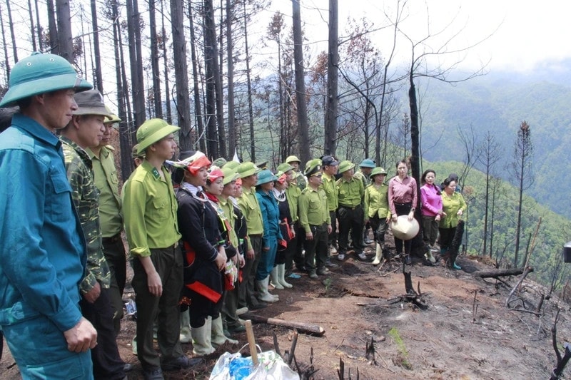 Cán bộ kiểm lâm hướng dẫn người dân trồng cây sa mộc trên đỉnh Tây Côn Lĩnh. Cán bộ kiểm lâm hướng dẫn người dân trồng cây sa mộc trên đỉnh Tây Côn Lĩnh.