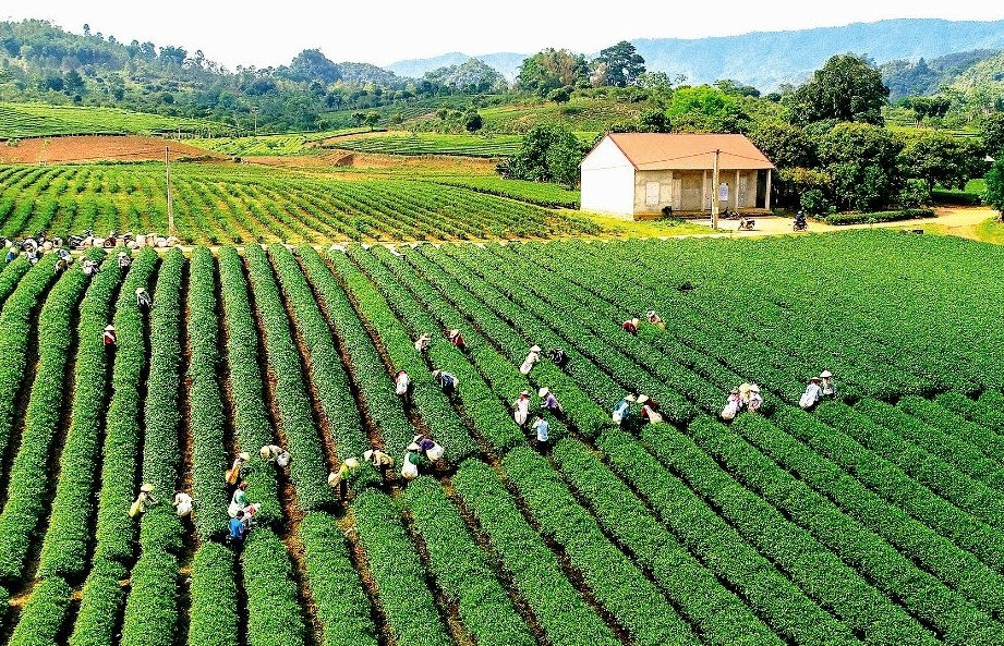 Nhiều địa phương vùng DTTS và miền núi đã nêu quyết tâm chuyển đổi mô hình tăng trưởng theo hướng xanh hóa các ngành kinh tế