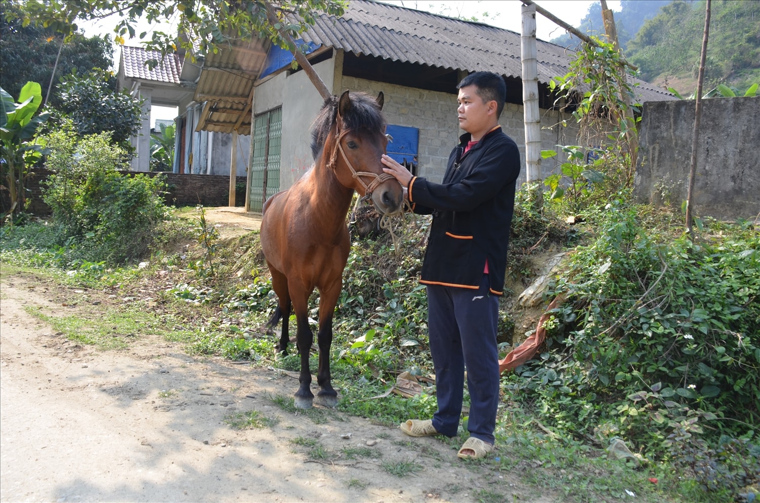 Anh Hoàng Văn Liên, thôn Pá Han, xã Phù Lưu (huyện Hàm Yên) bên chú ngựa vừa giành giải Nhất của mình. Anh Hoàng Văn Liên, thôn Pá Han, xã Phù Lưu (huyện Hàm Yên) bên chú ngựa vừa giành giải Nhất của mình