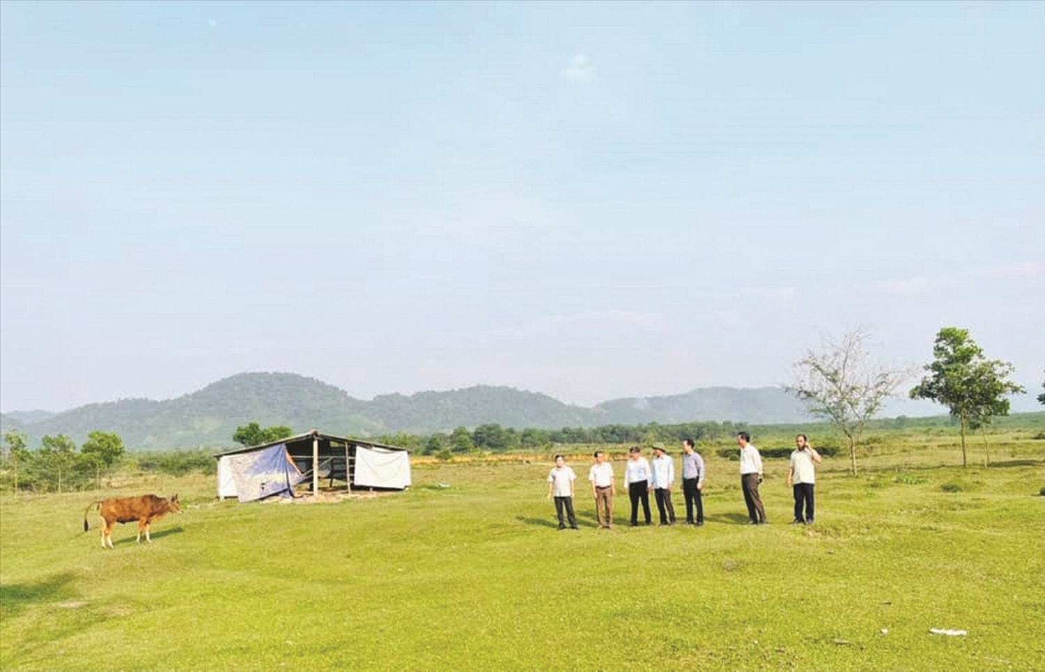 Người dân an tâm canh tác, chăn nuôi trên vùng đất đã được làm sạch chất độc da cam dioxin Người dân an tâm canh tác, chăn nuôi trên vùng đất đã được làm sạch chất độc da cam dioxin