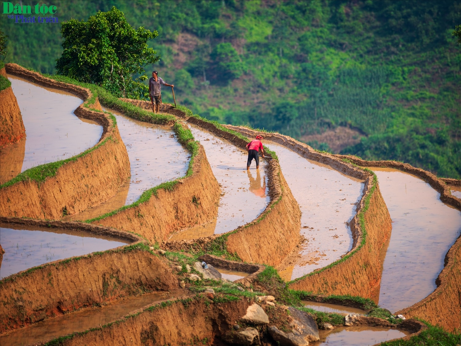 Trưởng Phòng Văn hóa - Thông tin huyện Hoàng Su Phì Nguyễn Việt Tuân  cho biết: Phương thức canh tác ruộng bậc thang của mỗi dân tộc có đôi nét khác biệt. Như khi lựa chọn đất canh tác, người Dao Đỏ ở xã Hồ Thầu thường chỉ chọn những khu vực đất có độ dốc không lớn để làm ruộng bậc thang và trồng cây xung quanh khu ruộng của mình để giữ đất, tránh bị sạt lở. Còn với người La Chí ở xã Bản Phùng, do địa bàn cư trú chủ yếu là đồi núi cao, đất dốc, nguồn nước khan hiếm nên đất được lựa chọn để khai phá trước hết phải gần nguồn nước và thuận lợi trong việc dẫn nước về ruộng.