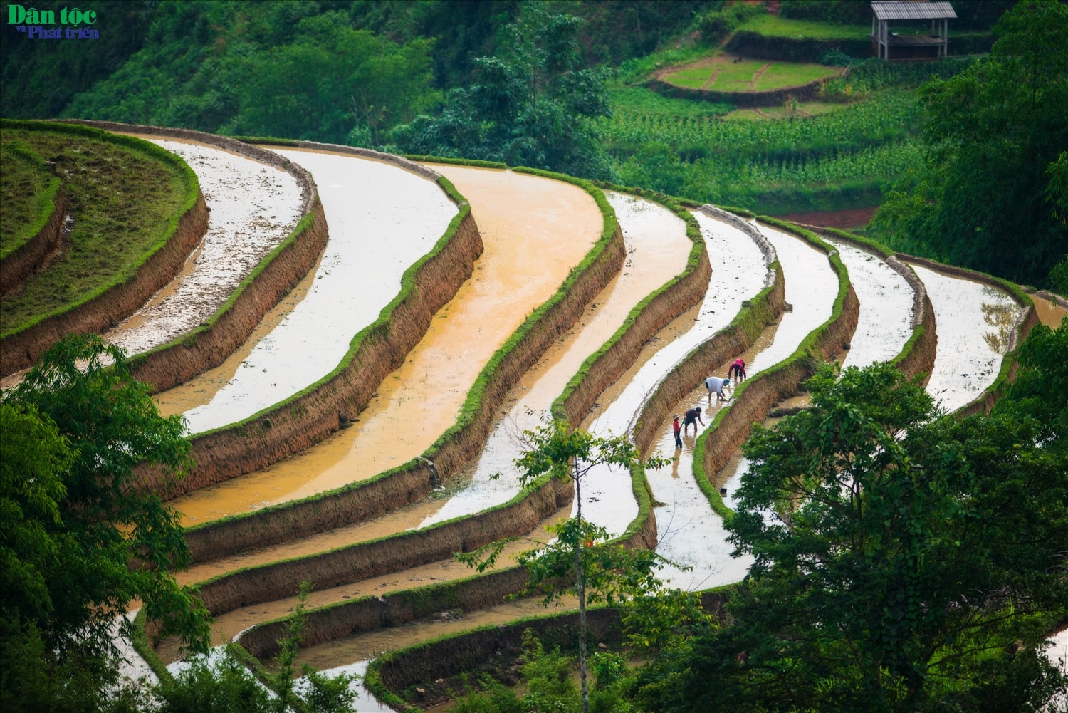 Canh tác ruộng bậc thang vốn dĩ chỉ là cách mưu sinh, là sự sáng tạo của đồng bào các dân tộc để đảm bảo cuộc sống hàng ngày, tuy nhiên chính sự sáng tạo đó vô hình chung đã tạo nên những thửa ruộng bậc thang giàu tính nghệ thuật.