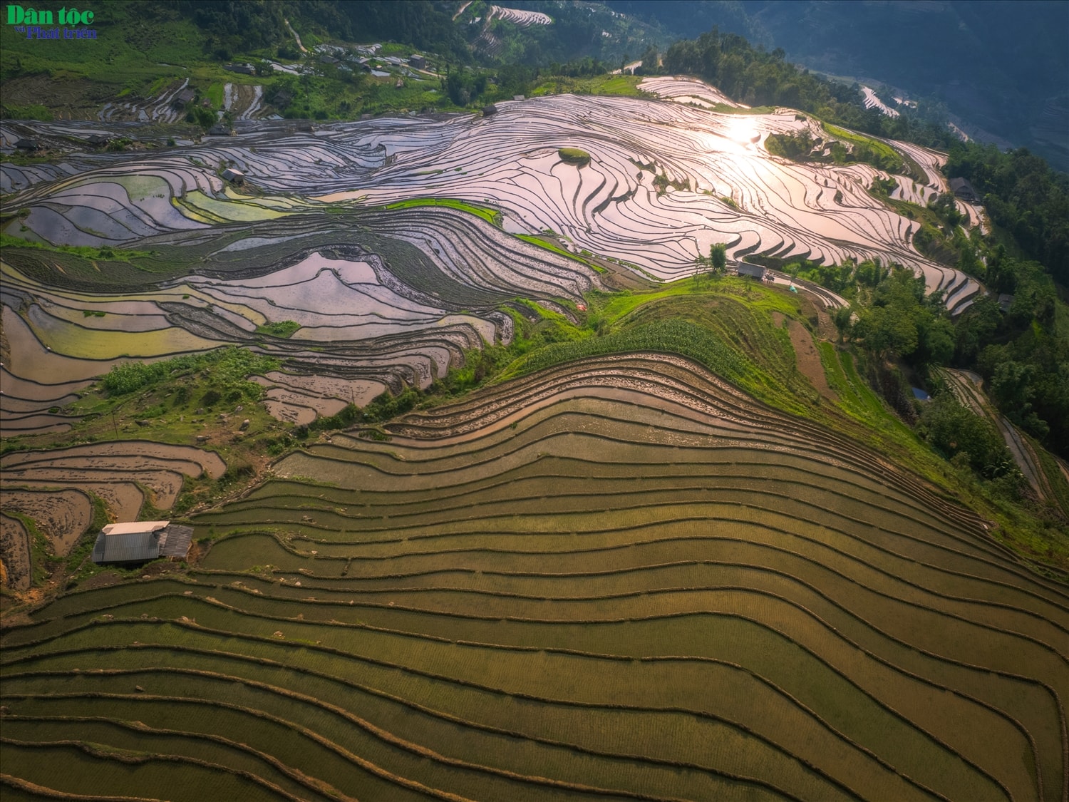 Hiện nay Hoàng Su Phì có tổng số 3.720,6 ha ruộng bậc thang trải đều khắp 24/24 xã, thị trấn của huyện. Trong đó có 1.380 ha ruộng bậc thang tại 11 xã Bản Phùng, Bản Luốc, Sán Sả Hồ, Hồ Thầu, Thông Nguyên, Nậm Ty, Tả Sử Choóng, Bản Nhùng, Pố Lồ, Thàng Tín, Nậm Khòa được công nhận di tích danh thắng cấp quốc gia