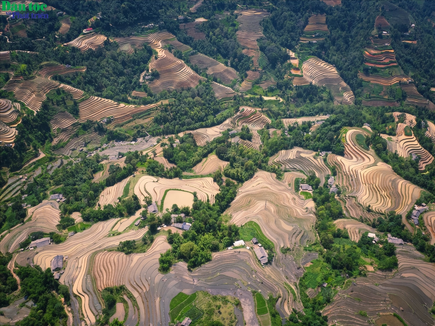 Hoàng Su Phì là huyện vùng cao phía Tây tỉnh Hà Giang. Toàn huyện có 24 đơn vị hành chính, bao gồm 23 xã và 1 thị trấn, với tổng diện tích tự nhiên là 63.238,06 ha, dân số 68.416 người (năm 2023). Là địa phương vùng cao có nhiều thành phần dân tộc cùng sinh sống, địa hình chia cắt mạnh, giao thông không thuận tiện, thời tiết khí hậu khắc nghiệt, nên từ bao đời nay canh tác nông nghiệp là một trong lĩnh vực chiếm tỷ lệ chủ yếu trong cơ cấu kinh tế của huyện