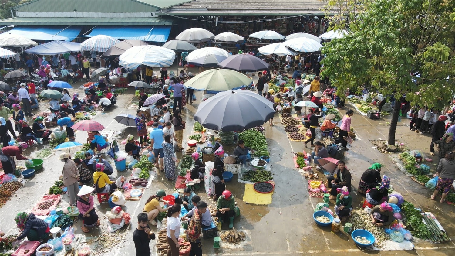 Chợ phiên vùng cao là nơi có bán nhiều sản vật thức quà của núi rừng Chợ phiên vùng cao là nơi có bán nhiều sản vật thức quà của núi rừng