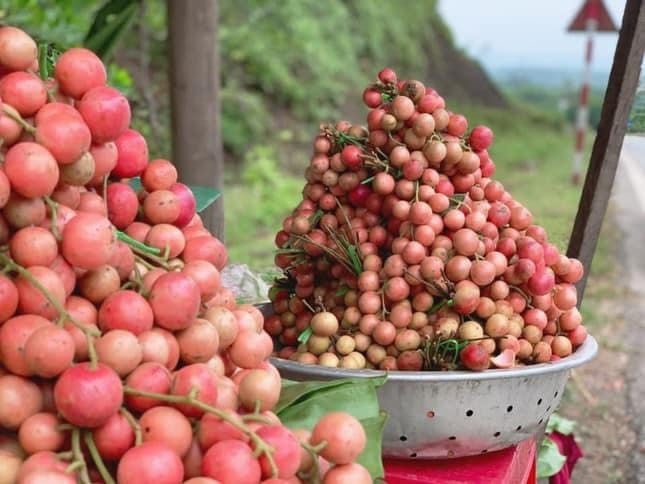 Những chùm dâu da rừng bày bán bên đường. Ảnh Hạ Đức Những chùm dâu da rừng bày bán bên đường. Ảnh Hạ Đức