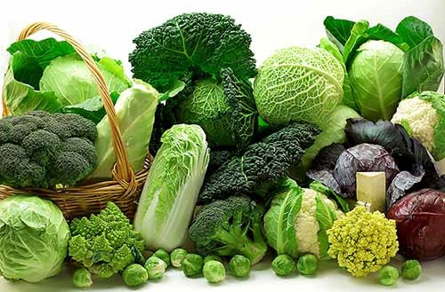 (Tổng hợp) Chế độ dinh dưỡng cho người bị ung thư tuyến giáp 1
