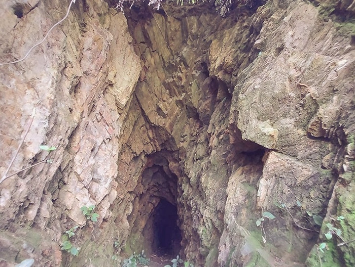 Những 