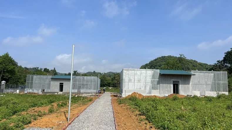 Khu vực bảo tồn cầy vằn sinh sản
