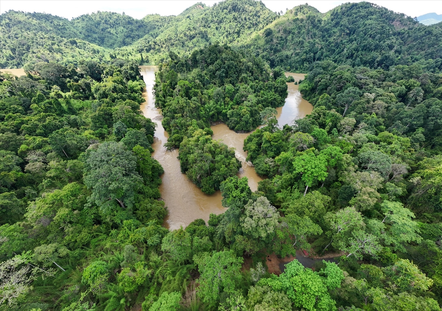 VQG Cát Tiên đạt danh hiệu Danh lục Xanh IUCN.