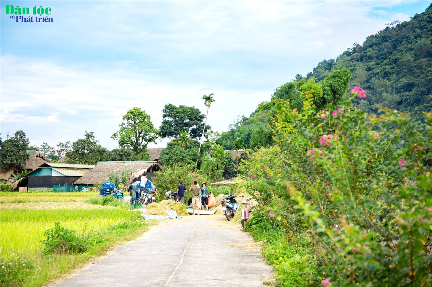 Những nếp nhà cũ kỹ rêu phong của người Tày nằm xen lẫn giữa những ruộng lúa đang độ chín vàng, tựa lưng vào những dãy núi phủ xanh bởi cây lá... Tất cả hòa quyện tạo thành một bức tranh làng quê thanh bình.