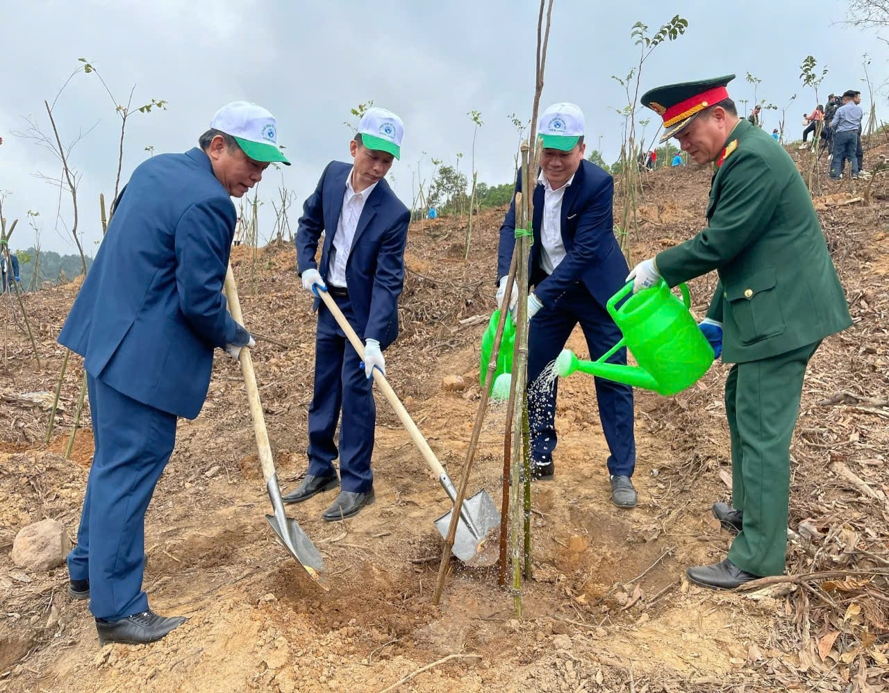 Với chủ trương trúng và đúng, các Nghị quyết đã tạo ra lan tỏa trồng rừng gỗ lớn trên địa bàn