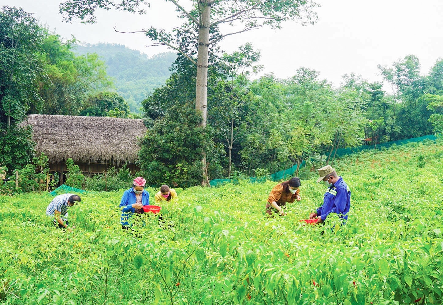 Sau 5 năm thực hiện Quyết tâm thư, đời sống của đồng bào các DTTS trên địa bàn tỉnh  Lào Cai đã có những chuyển biến tích cực