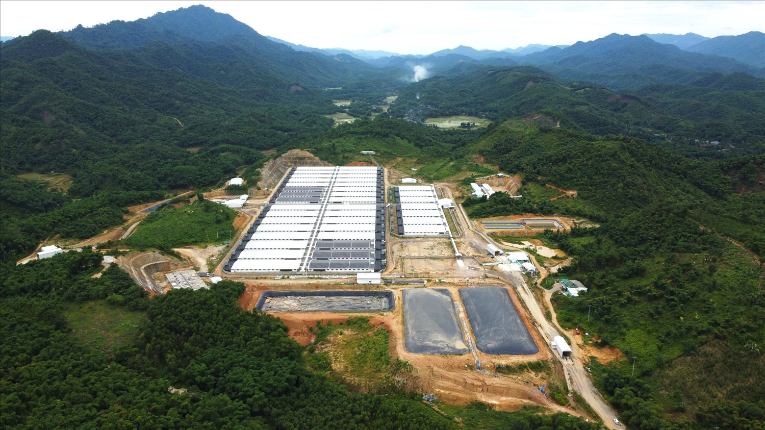 Trang trại chăn nuôi lợn công nghệ cao tại xã Tân Phúc, huyện Lang Chánh