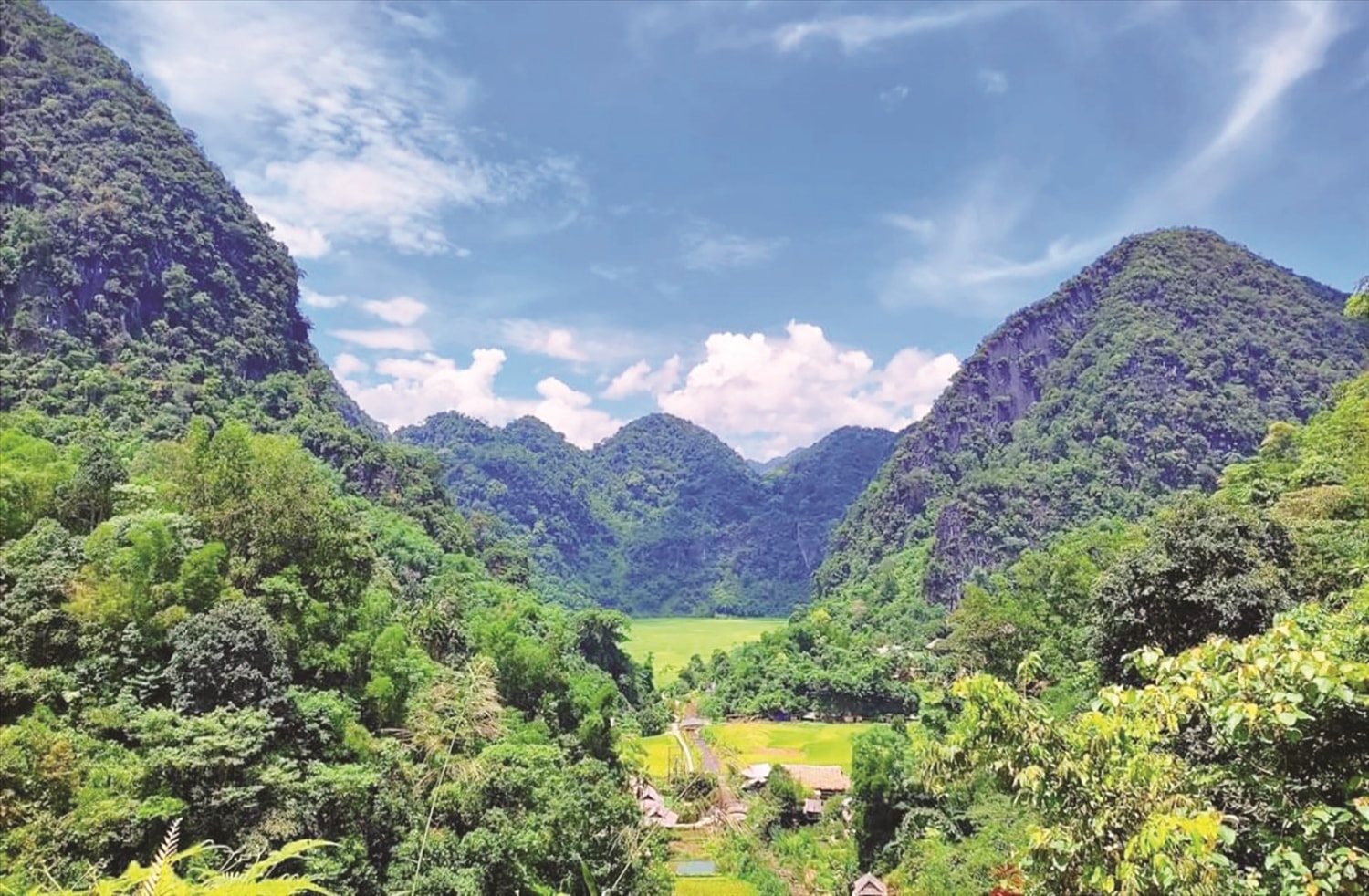 Mở hướng thoát nghèo cho bản Kho Mường 