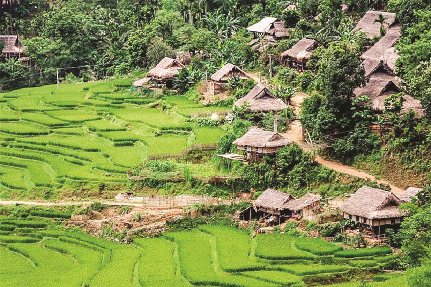 Một góc bản Kho Mường, xã Thành Sơn, huyện Bá Thước