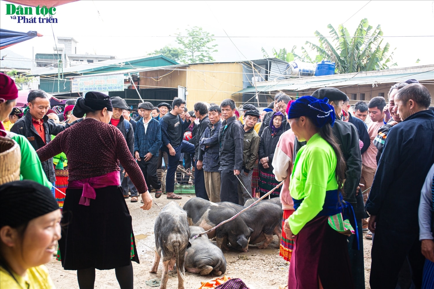 (ẢNH) Chợ phiên Đồng Văn - Điểm hẹn văn hoá trên cao nguyên đá 7