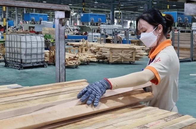 Ngành Lâm nghiệp đang đẩy mạnh các thực hiện các giải pháp nhằm đảm bảo đạt chỉ tiêu kế hoạch năm 2024 (Ảnh IT) Ngành Lâm nghiệp đang đẩy mạnh các thực hiện các giải pháp nhằm đảm bảo đạt chỉ tiêu kế hoạch năm 2024 (Ảnh IT)