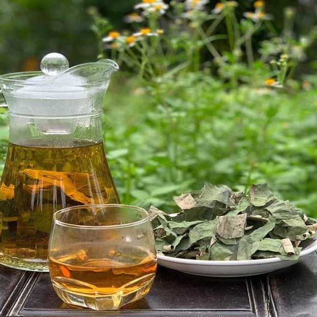 (Tổng hợp) Công dụng kỳ diệu của lá sen 4