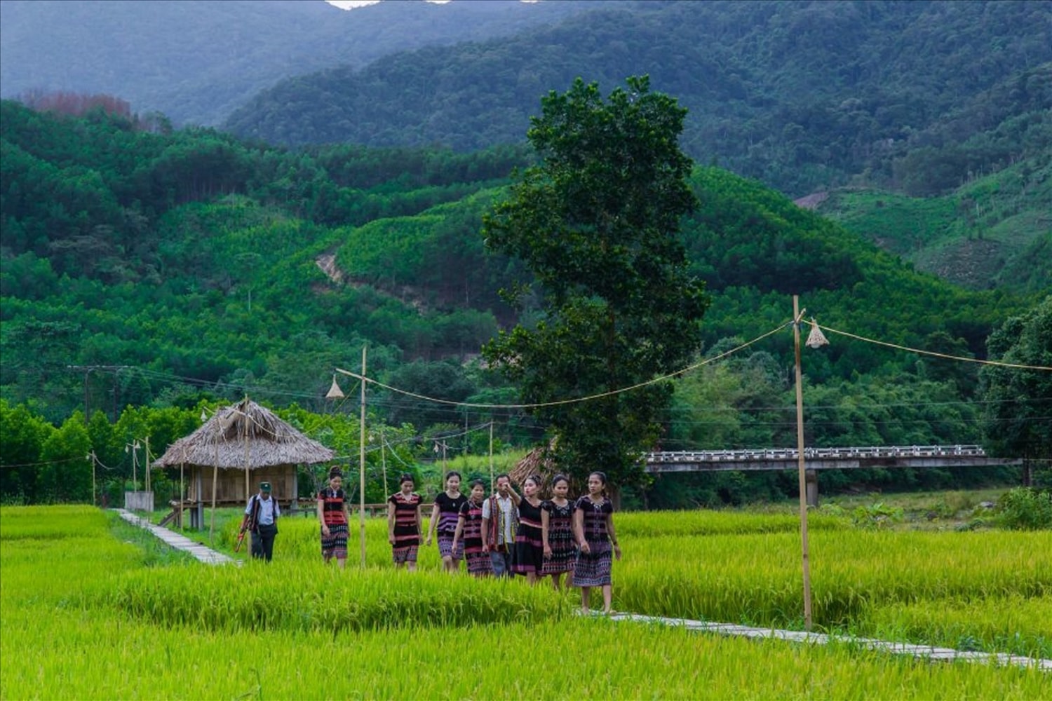 Đồng bào ở A Lưới khai thác tốt du lịch cộng đồng để phát triển kinh tế. Đồng bào ở A Lưới khai thác tốt du lịch cộng đồng để phát triển kinh tế.