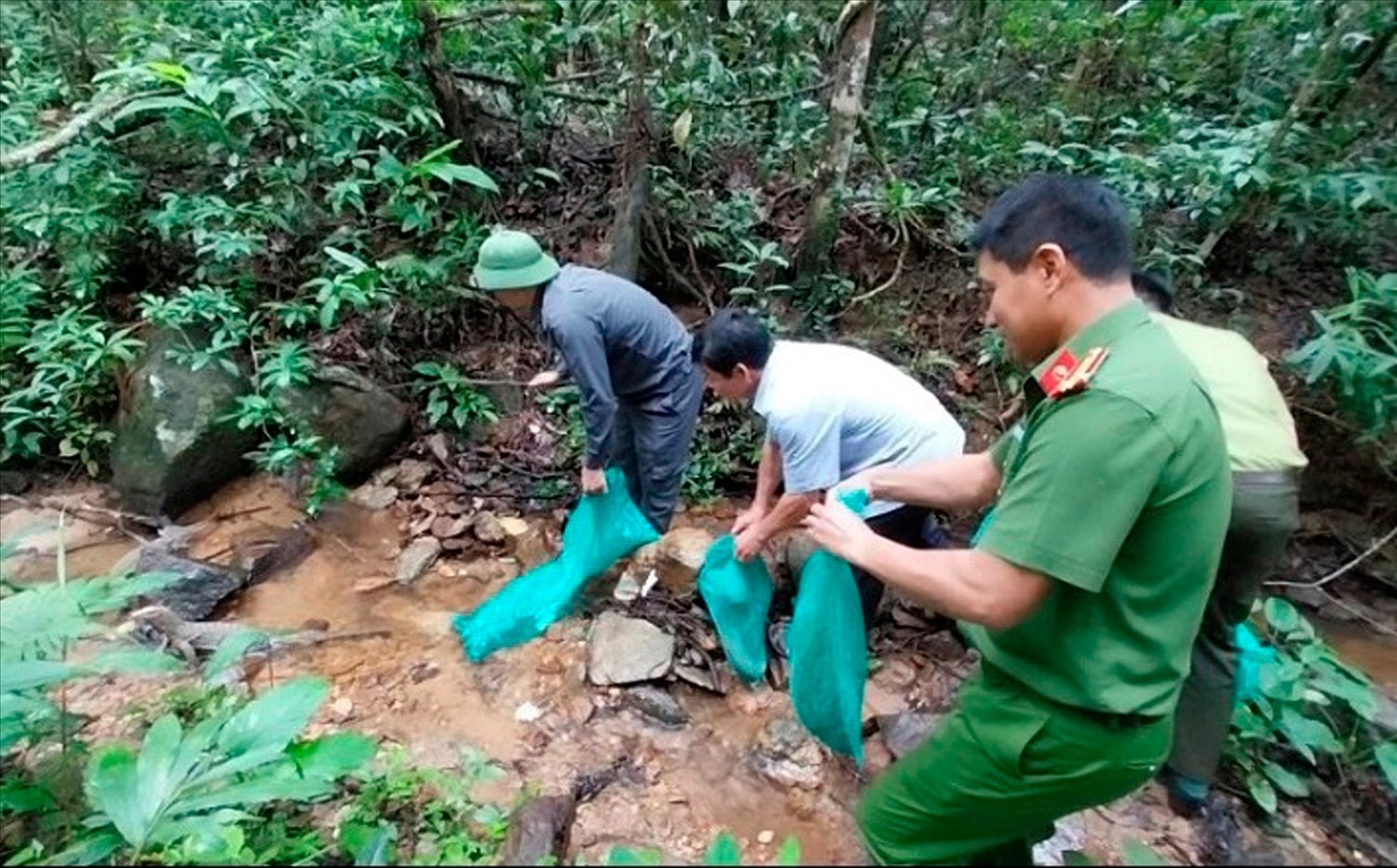 Gia Lai: Thả 9 cá thể động vật hoang dã có tên trong sách Đỏ về rừng 