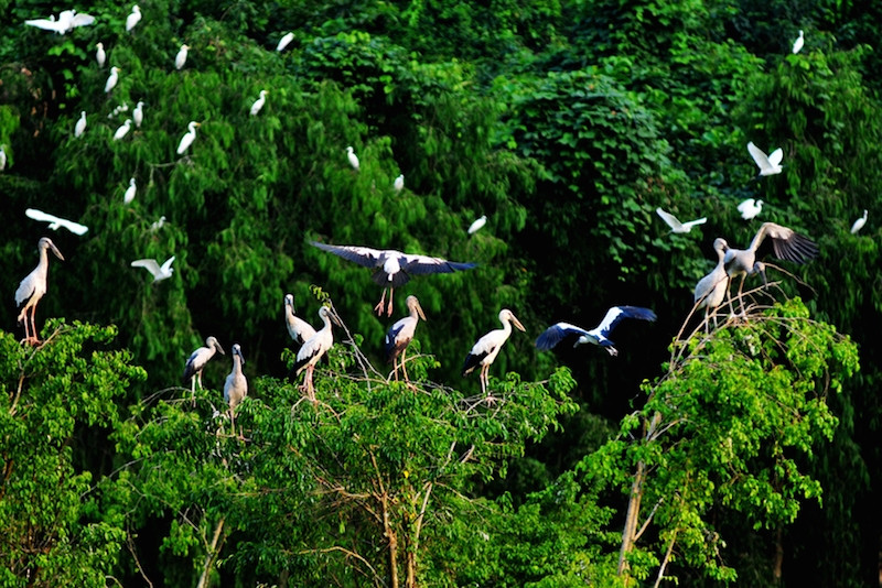 Ra mắt phim ngắn