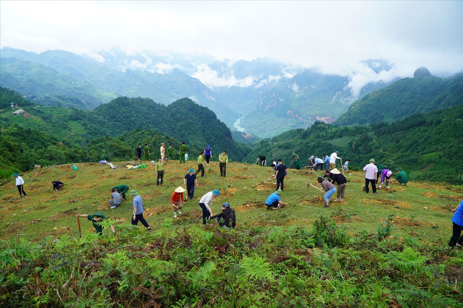 Lãnh đạo huyện Mèo Vạc cùng người dân địa phương tham gia trồng cây Sa Mộc tại thôn Phìn Lò, xã Sơn Vĩ