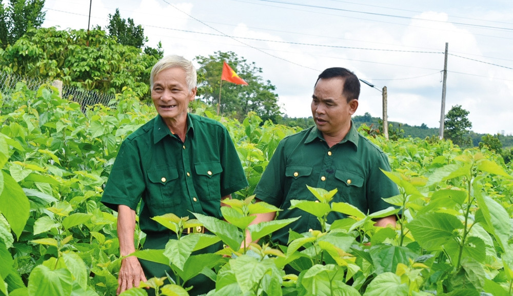 Những thương binh vượt khó làm kinh tế giỏi 