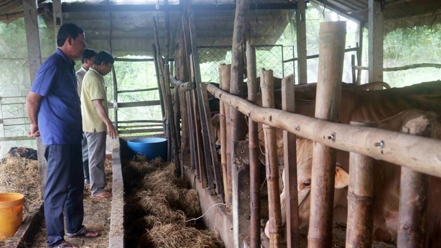 Ông Sơn Lộc (đứng giữa) giới thiệu về mô hình chăn nuôi bò lai sind sinh sản cho các hội viên Hội Cựu Chiến binh xã Long Phú. Ông Sơn Lộc (đứng giữa) giới thiệu về mô hình chăn nuôi bò lai sind sinh sản cho các hội viên Hội Cựu Chiến binh xã Long Phú.